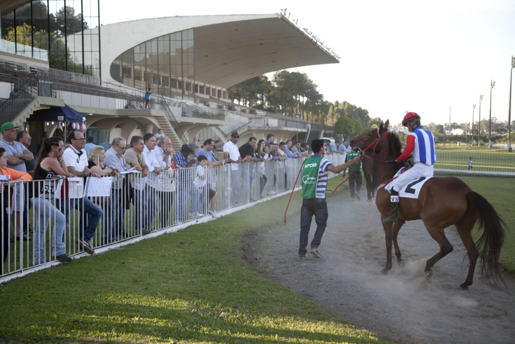 Jockey Club do Paraná, 507º corrida em 21/11/2016 Hipódromo do Tarumã