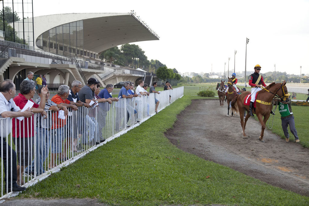 Jockey Club do Paraná, 511º corrida em 20/02/2017 Hipódromo do Tarumã