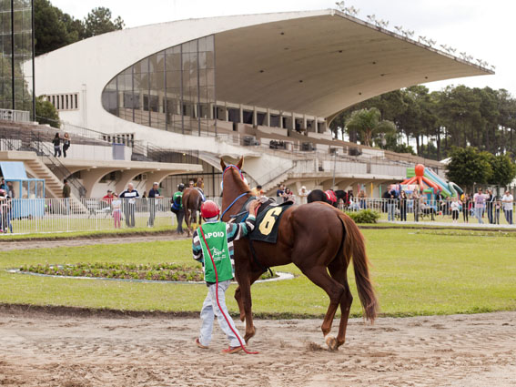 Jockey Club do Paraná, 515º reunião em 01/05/2017 Hipódromo do Tarumã