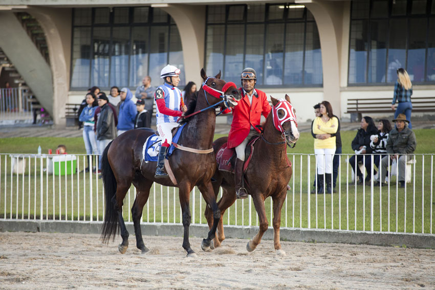 Jockey Club do Paraná, 15/06/2017 Hipódromo do Tarumã