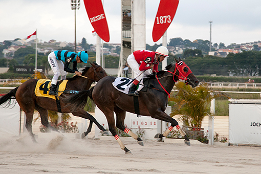 Jockey Club Paraná, fotos das vitórias - Hipódromo do Tarumã, reunião do dia 01-03-2018