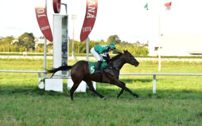 SUM OF BLADE RUMO A PEGASUS SPRINT