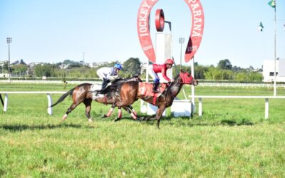 VINCA COURT VENCE A PROVA ESPECIAL LUIZ FERNANDO MARTINS KOSOP
