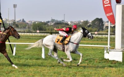 GALO WHITE LARGOU E ACABOU NA PROVA ESPECIAL HOMERO PINHATARI OLIVA