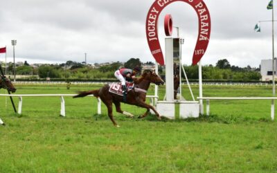 RIVIERA DO IGUASSU SURPREENDE NA PEGASUS BRASIL FILLIES