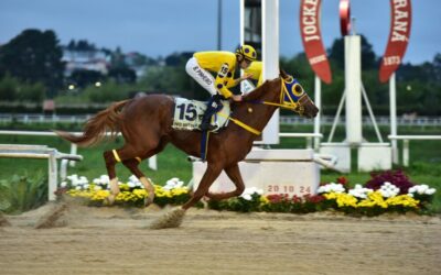 NO BIEN NI MAL É O MELHOR NA VII PEGASUS BRASIL