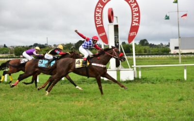 BUBBLY RAIN ATROPELA FORTE PARA VENCER A PEGASUS BRASIL CLASSIC