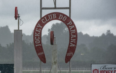 INFORMAÇÕES PARA AS CORRIDAS DE HOJE