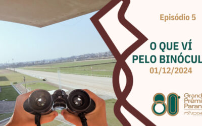 O QUE VI PELO BINÓCULO – EPISÓDIO 05