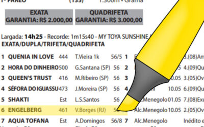 INDICAÇÕES DO LÍDER DO CONCURSO DE PROGNÓSTICOS