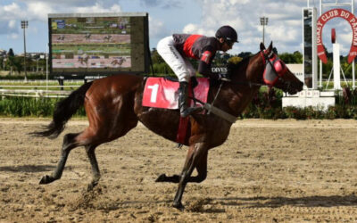 GO CAMELOT VENCE PROVA ESPECIAL
