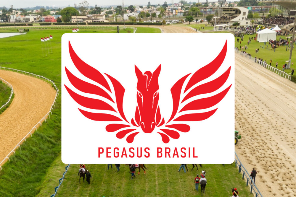CONHEÇA OS COMPETIDORES DO FESTIVAL PEGASUS BRASIL