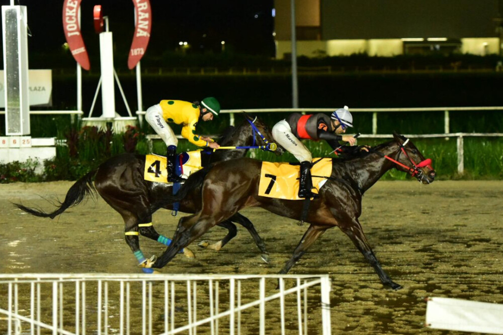 RUN DO IGUASSU VAI À PEGASUS BRASIL