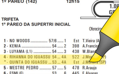 INDICAÇÕES DO LÍDER DO CONCURSO DE PROGNÓSTICOS