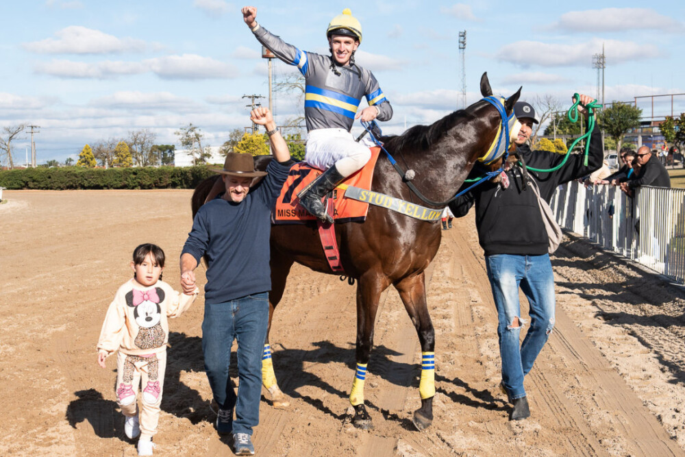 PEGASUS BRASIL FOI UM SHOW