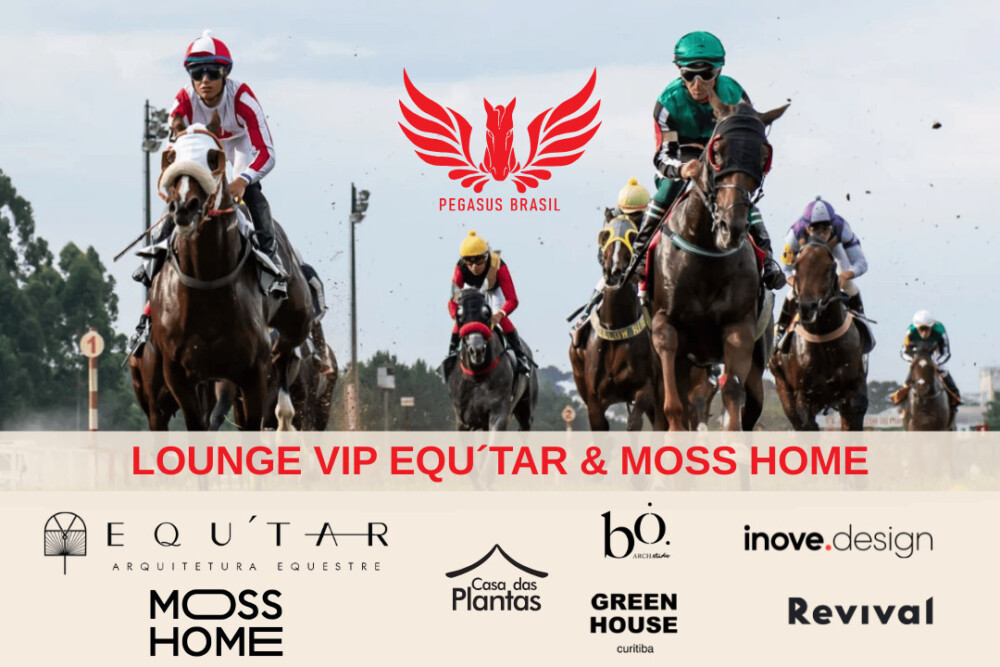 VENHA ASSISTIR A PEGASUS NO LOUNGE VIP