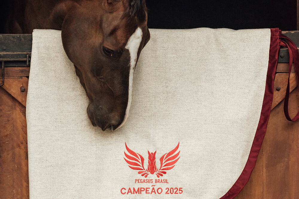 GANHADOR DA PEGASUS BRASIL TERÁ PRÊMIO ESPECIAL