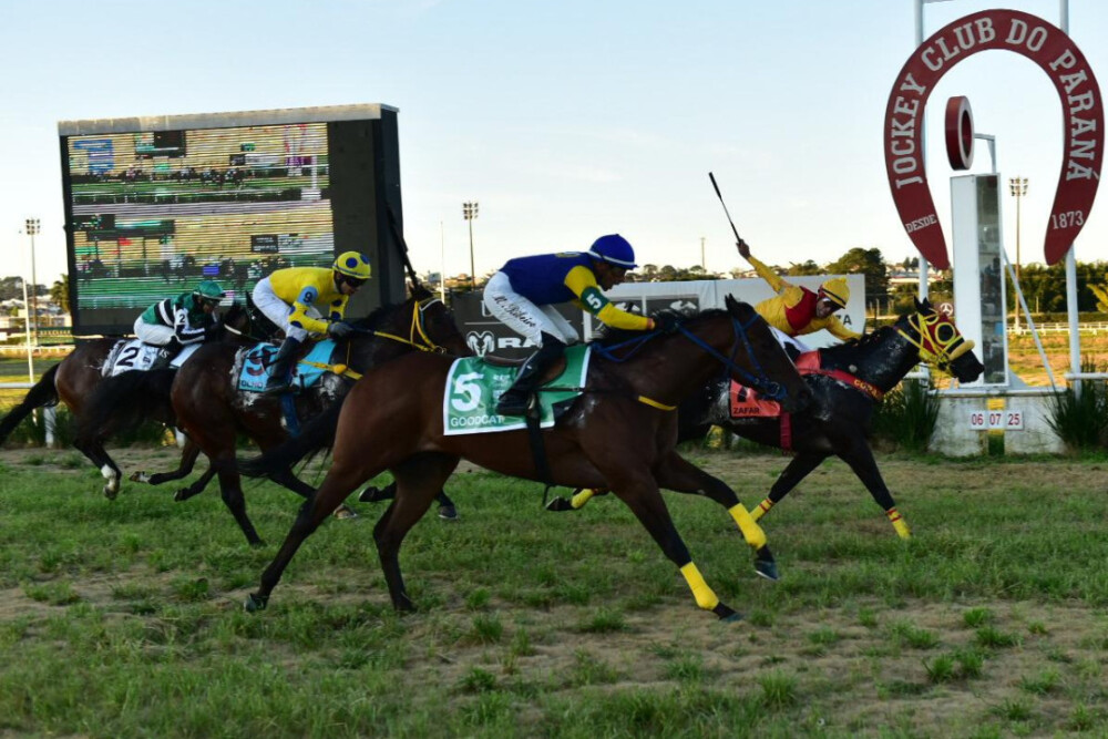 ZAFAR FOI O MAIS VELOZ NA V PEGASUS SPRINT