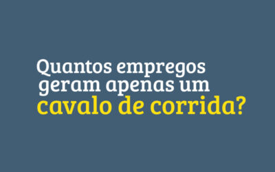 A CADEIA PROFISSIONAL EM TORNO DO CAVALO DE CORRIDA