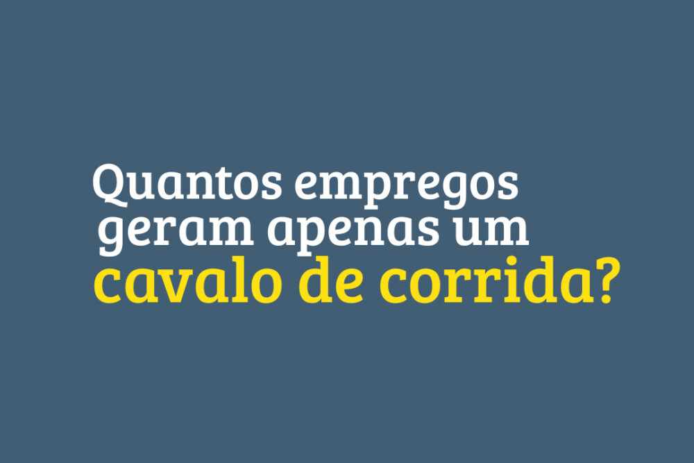 A CADEIA PROFISSIONAL EM TORNO DO CAVALO DE CORRIDA