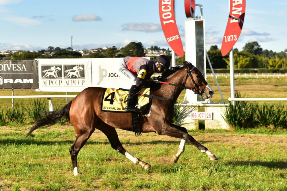 II PAGASUS FILLIES É DA INVICTA SPECIAL DO IGUASSU