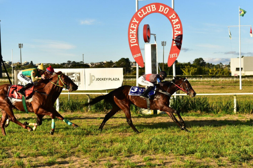 STAR DO IGUASSU CONQUISTA A I PEGASUS JUVENILE